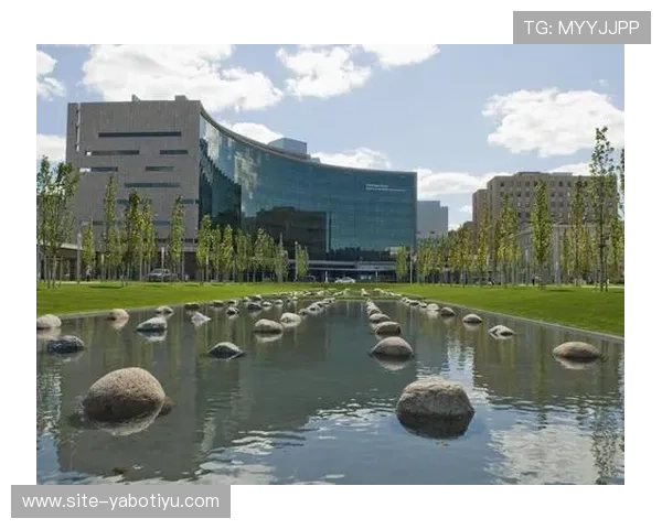 亚博网页版首页最新登录入口全面介绍与使用指南帮助玩家轻松进入游戏体验